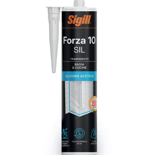 silicone forza 10